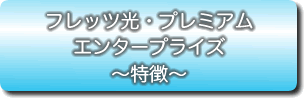 B�t���b�c�ڑ��T�[�r�X�̓���